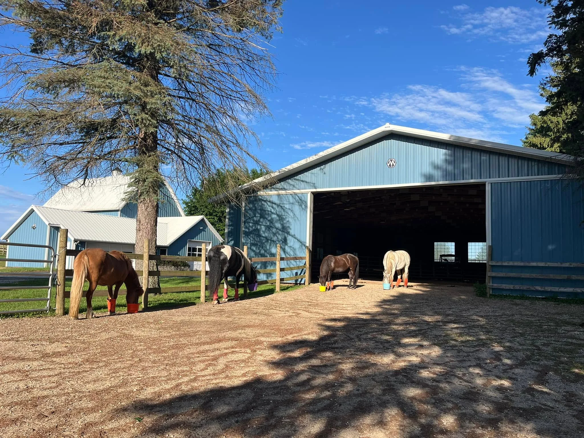 Konie i otwarty budynek Forest Run Farm