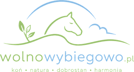 Wolnowybiegowo.pl